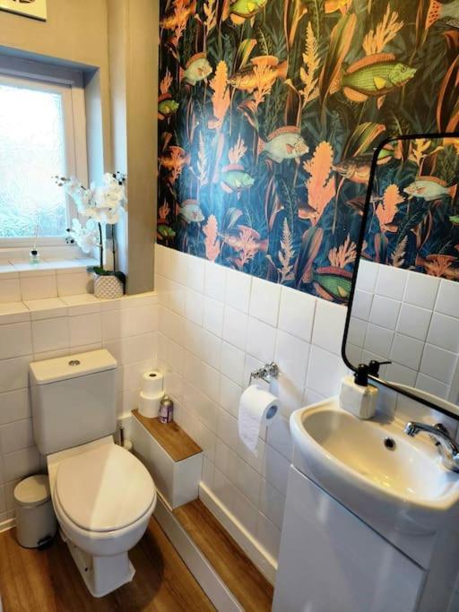 Apartment Cosy Hideaway In